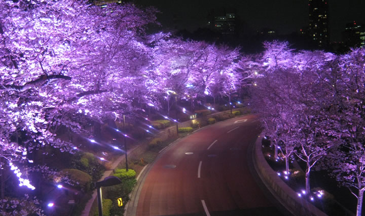 東京大型複合施設